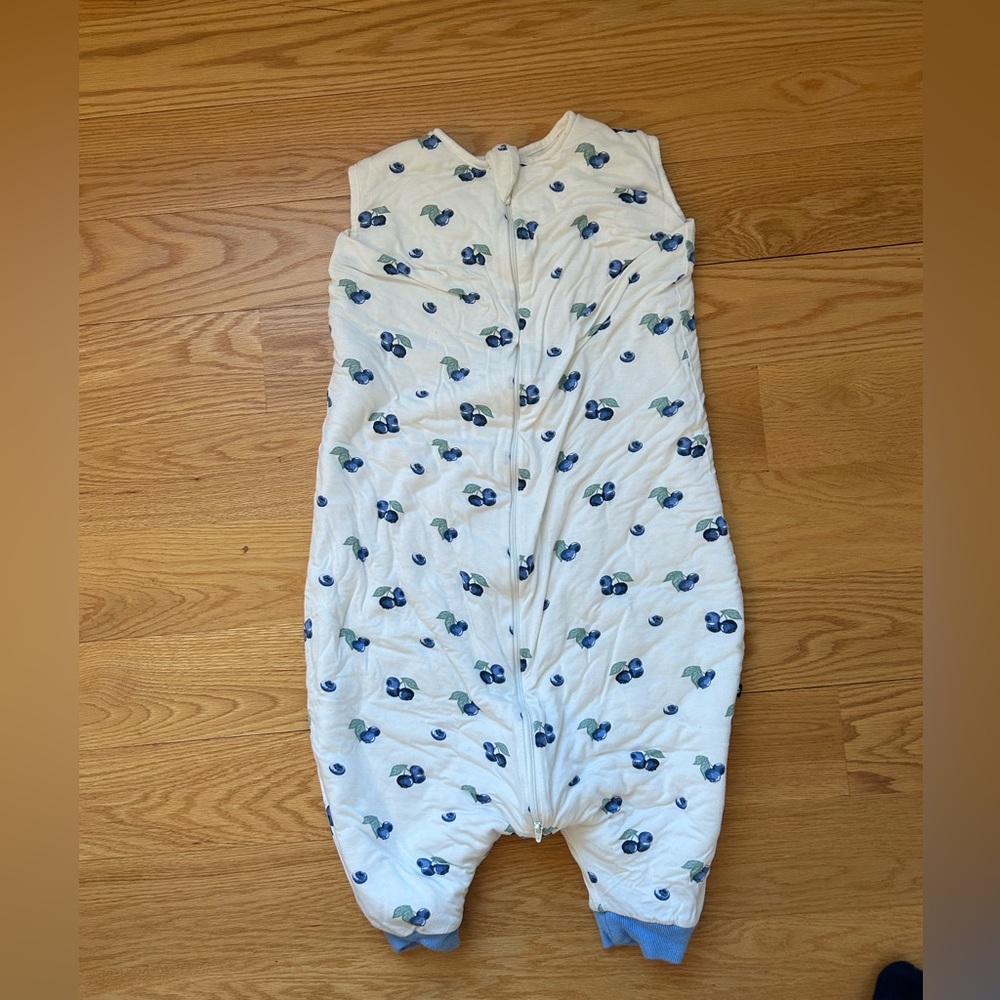 Kyte Sleep Walker Bag